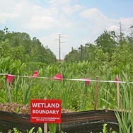 Wetlands Delineation & Permitting